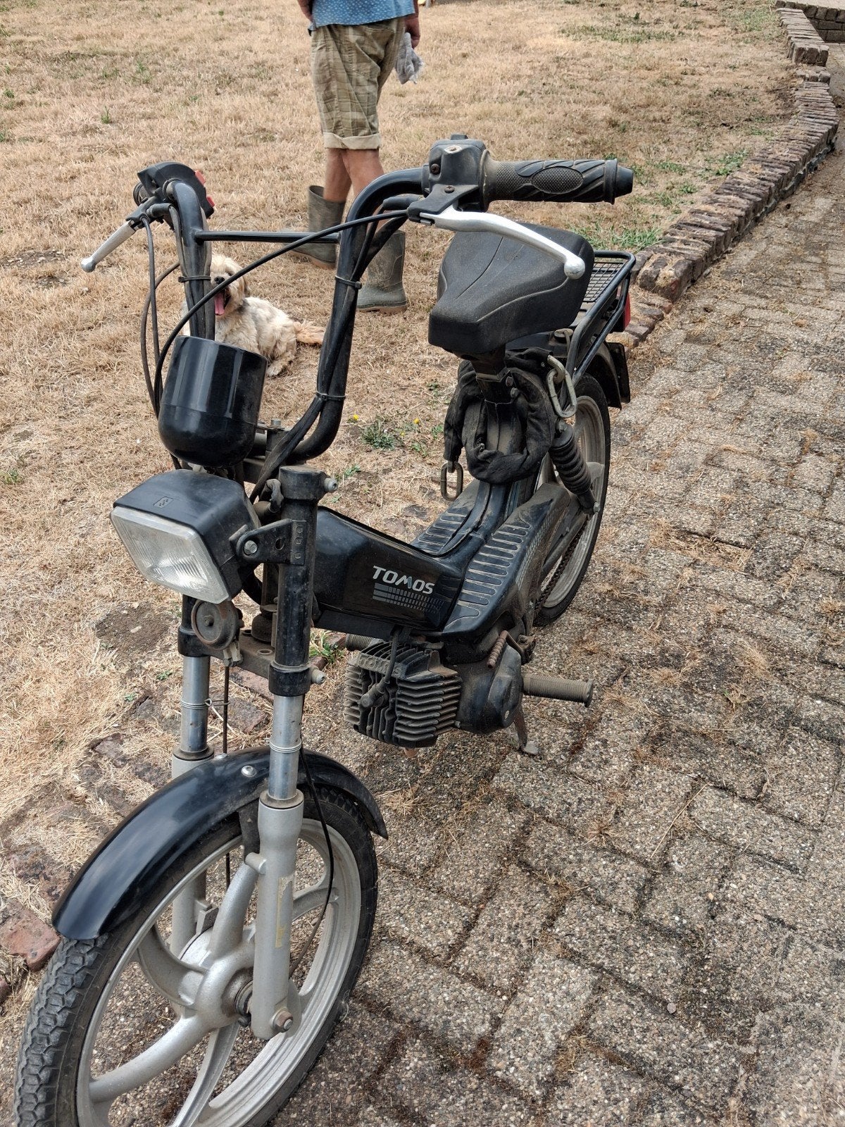 tomos brommer op blauw kenteken, Ophalen, Gebruikt, 0 versnellingen, 49 cc