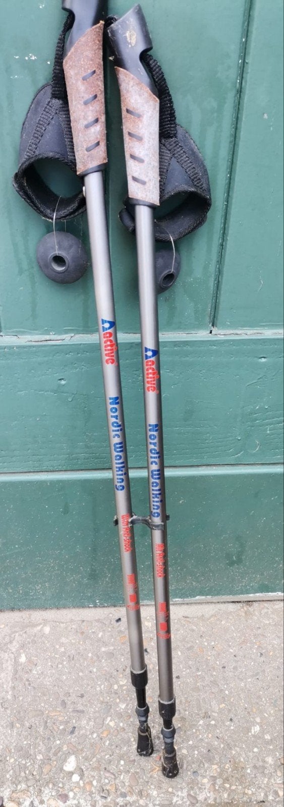 Telescopische Nordic Walking-stokken, Diversen, Ophalen of Verzenden, Verstelbaar, Gebruikt
