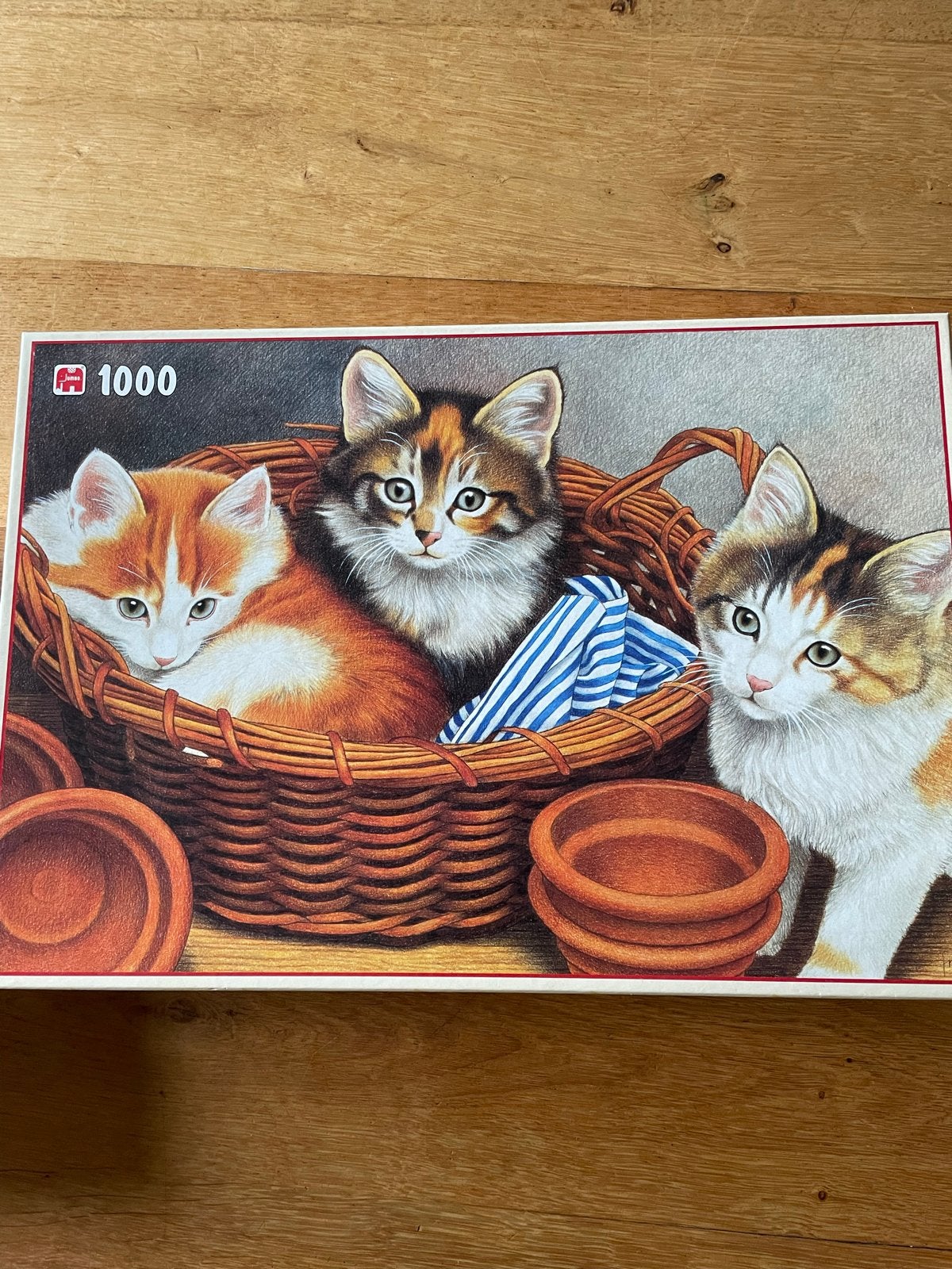 Legpuzzel 1000 stukjes met schattige kittens, Ophalen of Verzenden, 500 t/m 1500 stukjes, Zo goed als nieuw, Legpuzzel