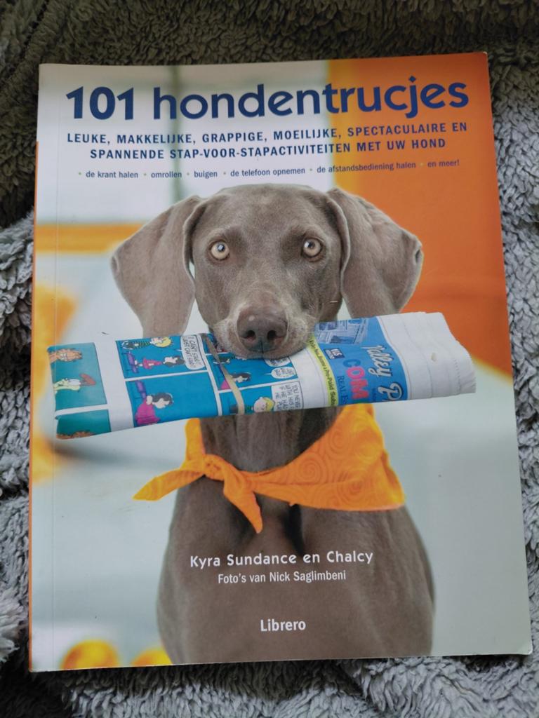 101 Hondentrucjes: Leuke en Spannende Activiteiten, Boeken, Dieren en Huisdieren, Gelezen, Honden, Ophalen of Verzenden