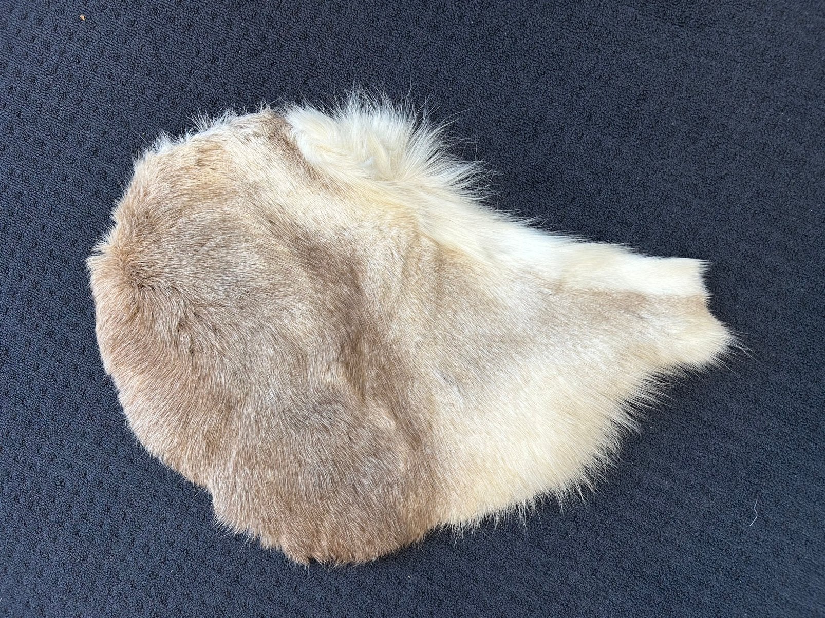 NIEUWE: Kleine geitenvacht kleedje, Ophalen of Verzenden