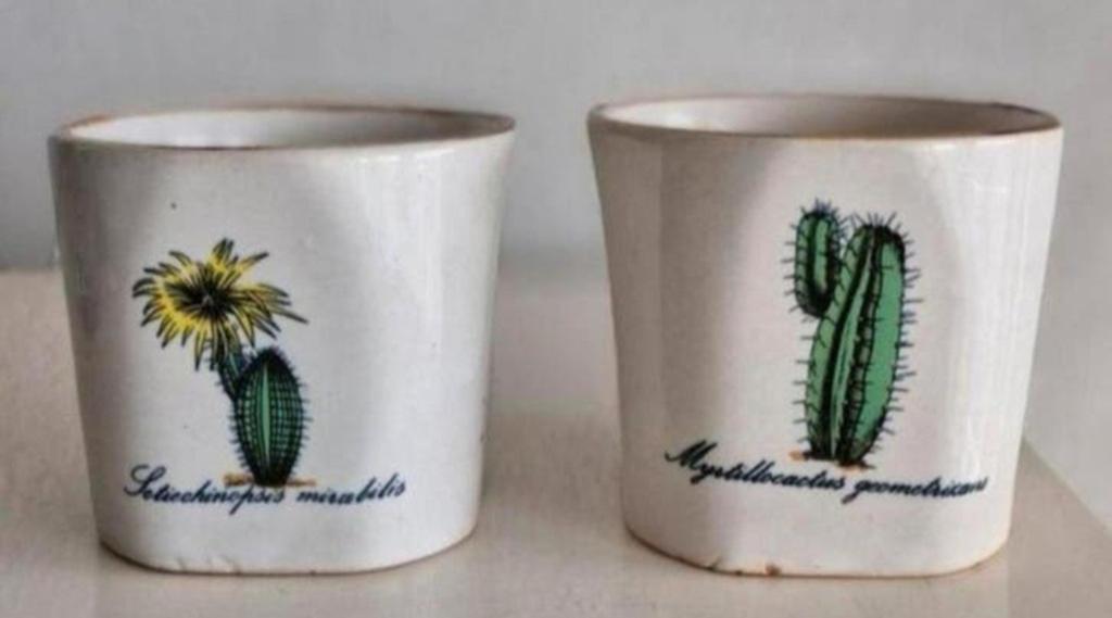 Twee Cactus Bloempotjes, Tuin en Terras, Rond, Ophalen of Verzenden, Aardewerk, Minder dan 40 cm