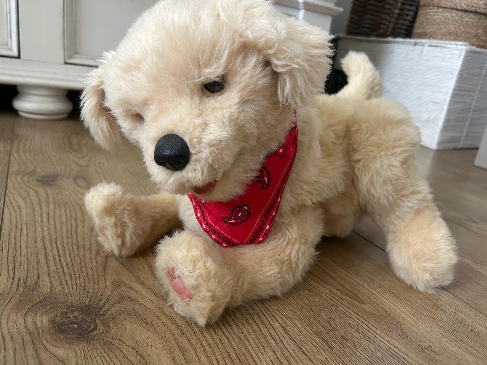 INTERACTIEVE ROBOT HOND JOY FOR LIFE, Ophalen, Overige merken, Nieuw, Hond