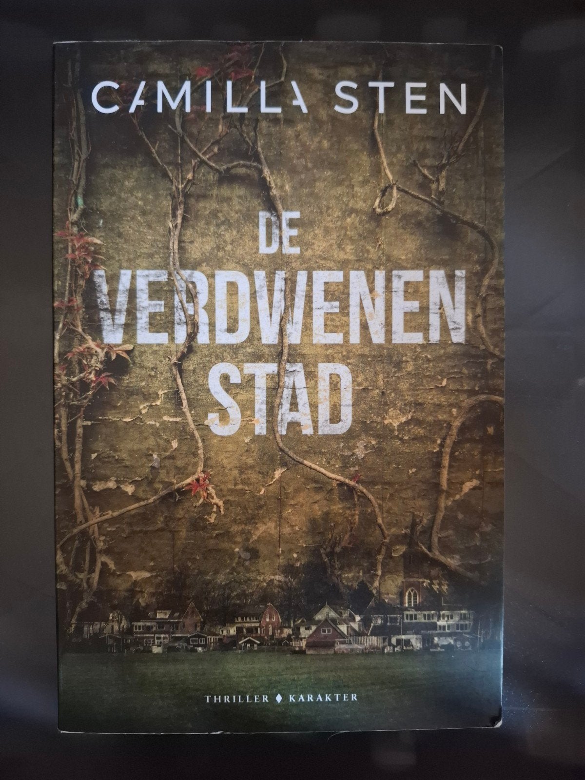 De Verdwenen Stad - Camilla Sten (Thriller), Ophalen of Verzenden, Zo goed als nieuw, Camilla Sten