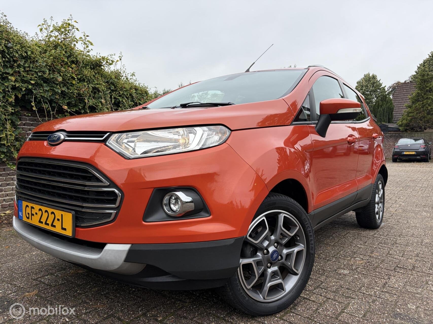 Ford EcoSport 1.0 EcoBoost Titanium / Nieuwe distributieriem, Auto's, Voorwielaandrijving, Gebruikt, Origineel Nederlands, Bedrijf
