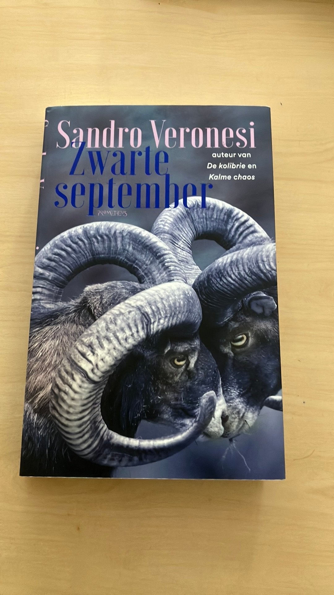 Sandro Veronesi Zwart September, Ophalen, Zo goed als nieuw