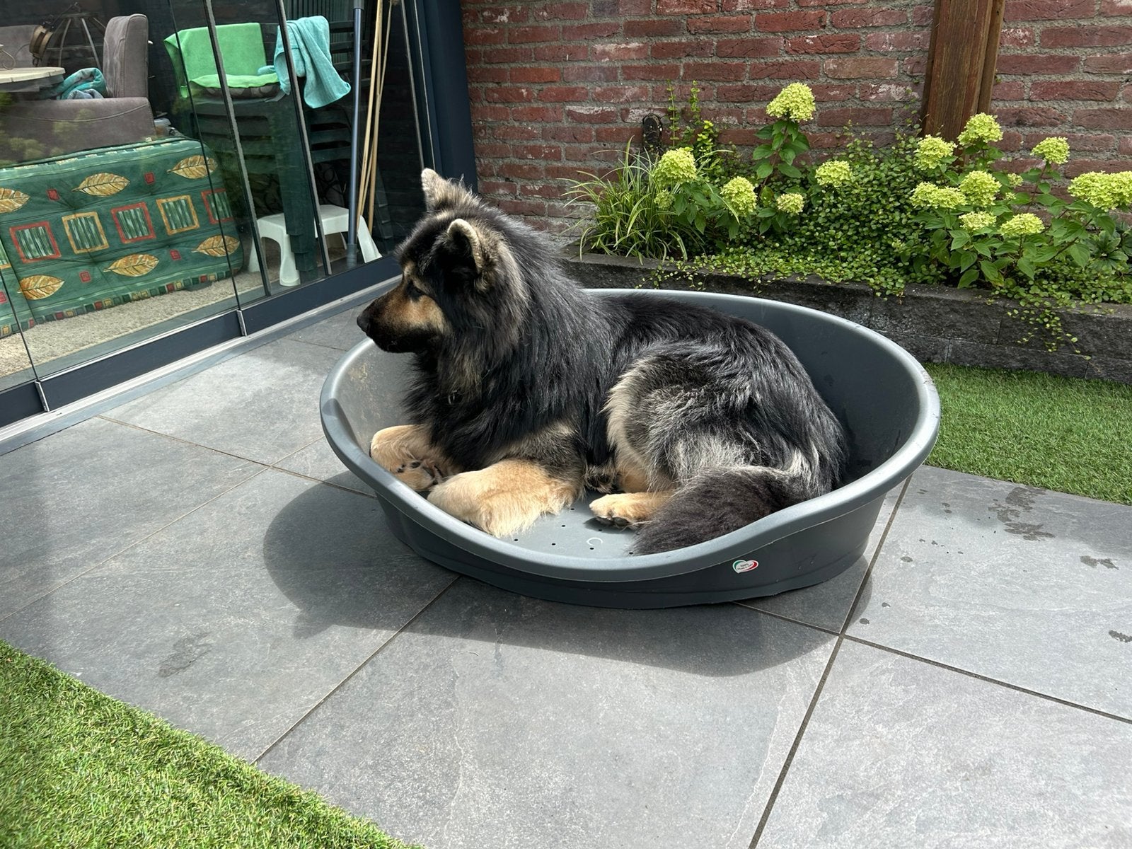 Nieuwe grote hondenmand, Ophalen of Verzenden, Zo goed als nieuw, Overige