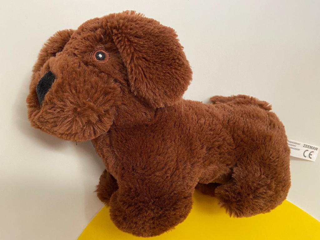 769 zeeman hond bruin, Ophalen of Verzenden, Hond