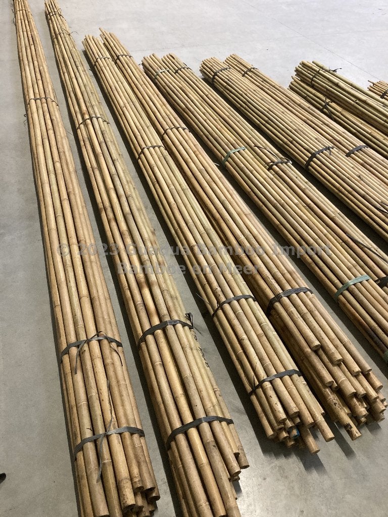 Tonkinstokken bamboestokken bamboe boomsteun plantensteun, Ophalen, Nieuw, Overige typen