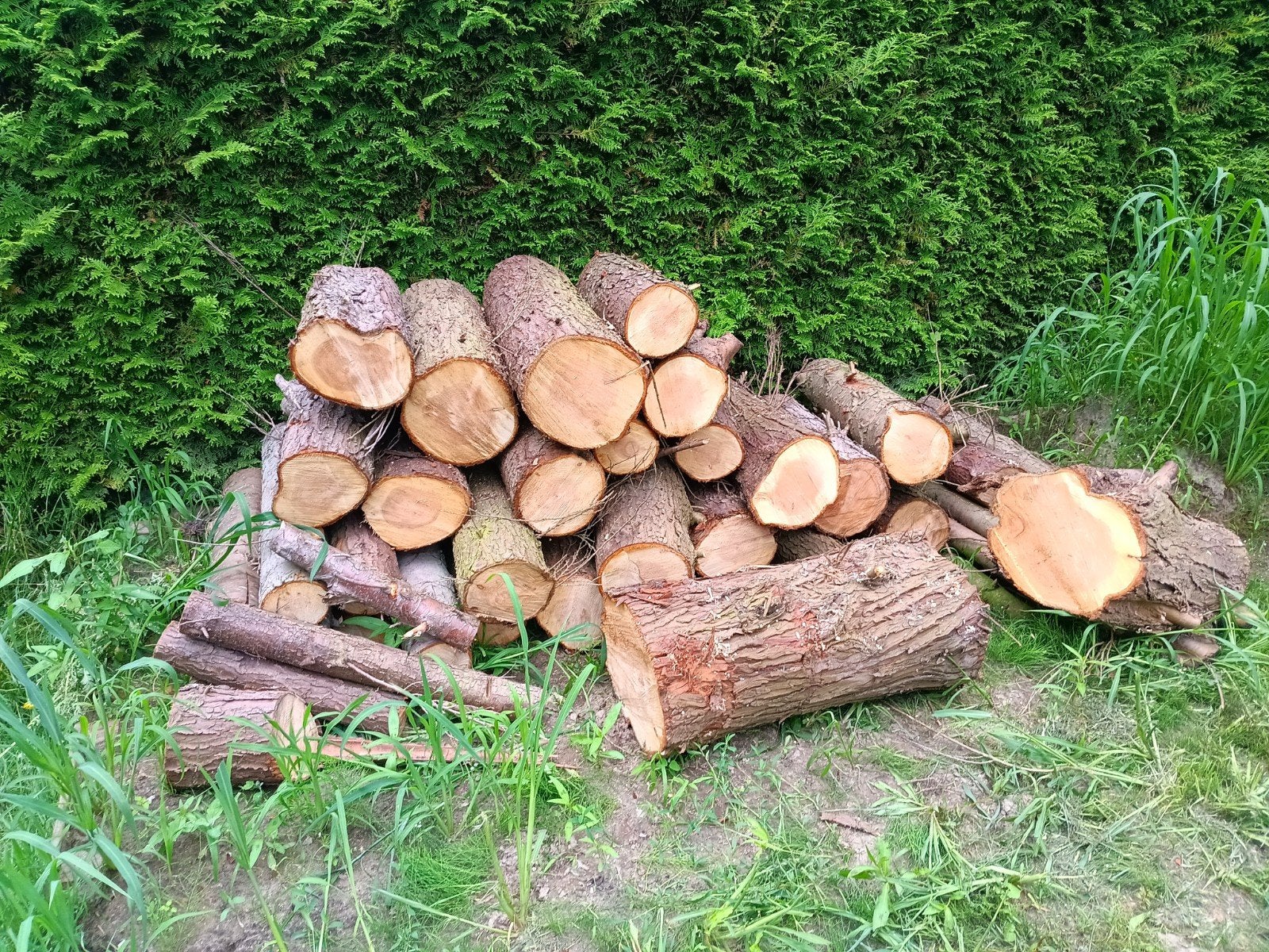 Ruim 1 kuub haardhout,  conifeer., Tuin en Terras, Haardhout, Minder dan 3 m³, Ophalen