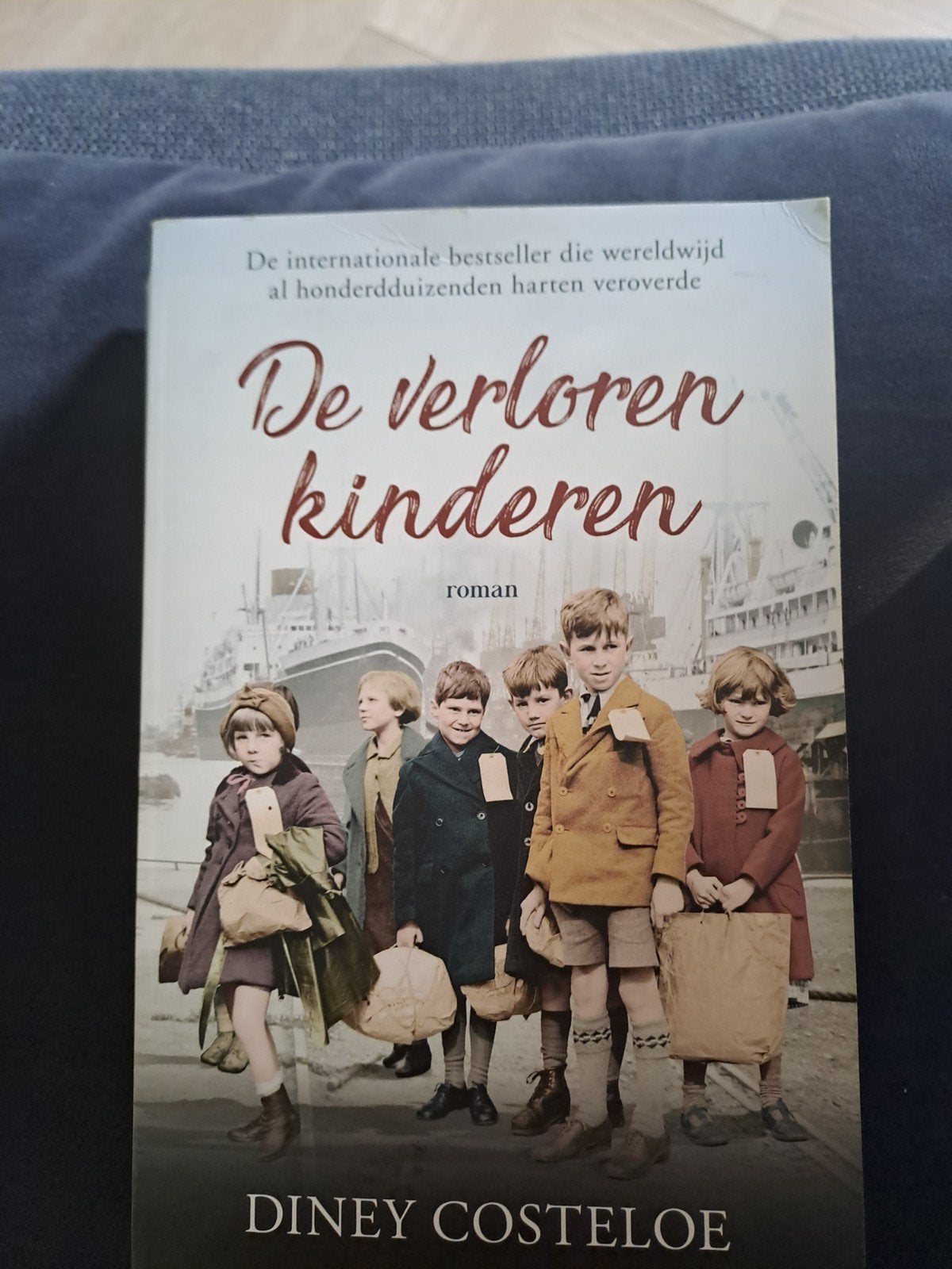Diney Costeloe - De verloren kinderen, Boeken, Ophalen of Verzenden, Zo goed als nieuw, Diney Costeloe