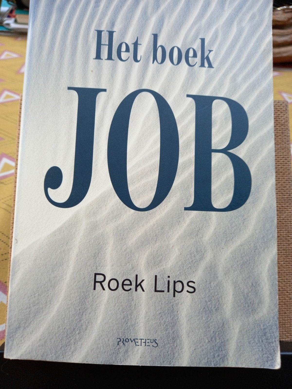 Het boek Job van Roek Lips., Boeken, Gelezen, Roek Lips, Ophalen of Verzenden, Nederland