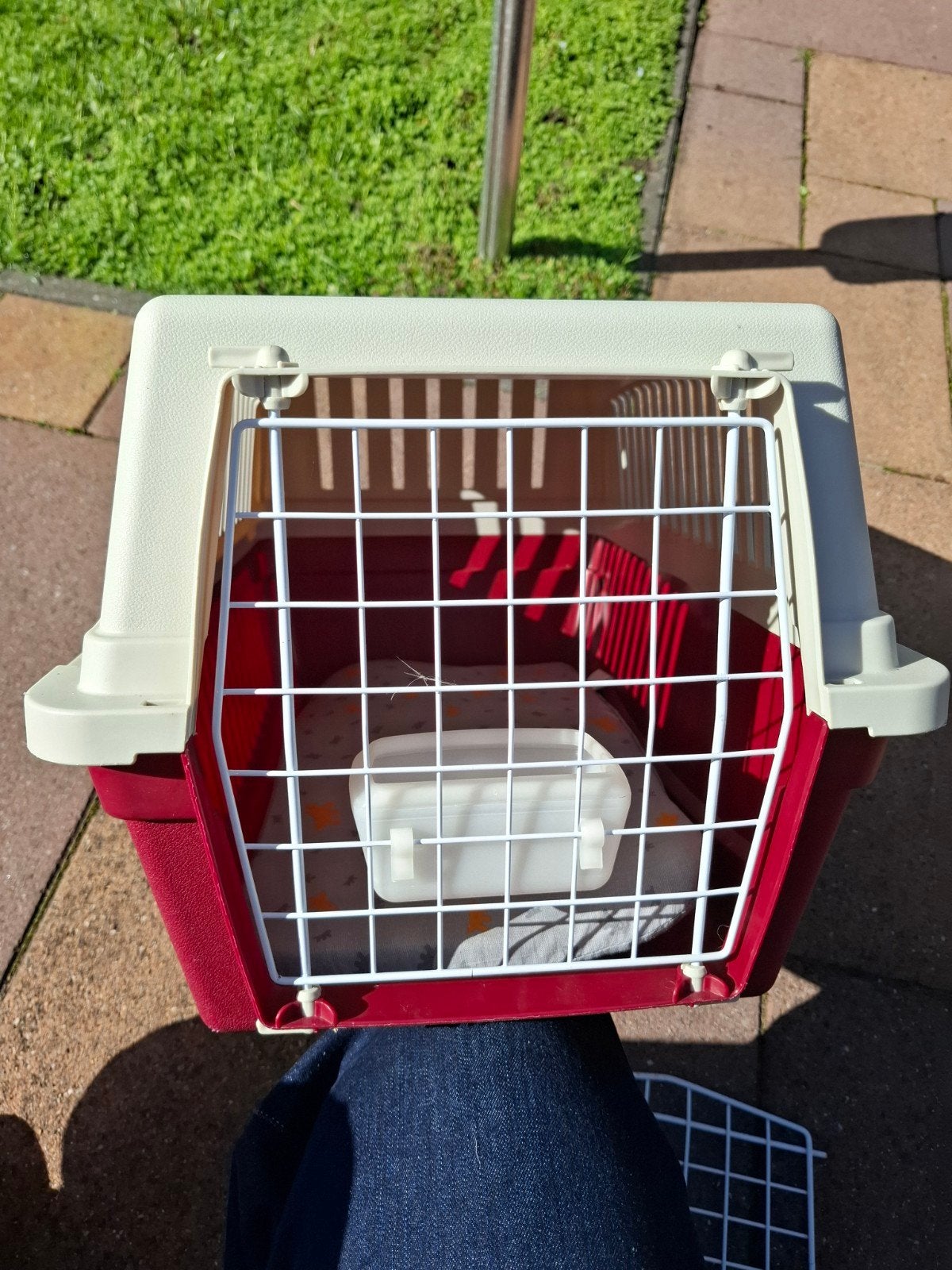 katten draagband reisaanbod handvat mist, Ophalen