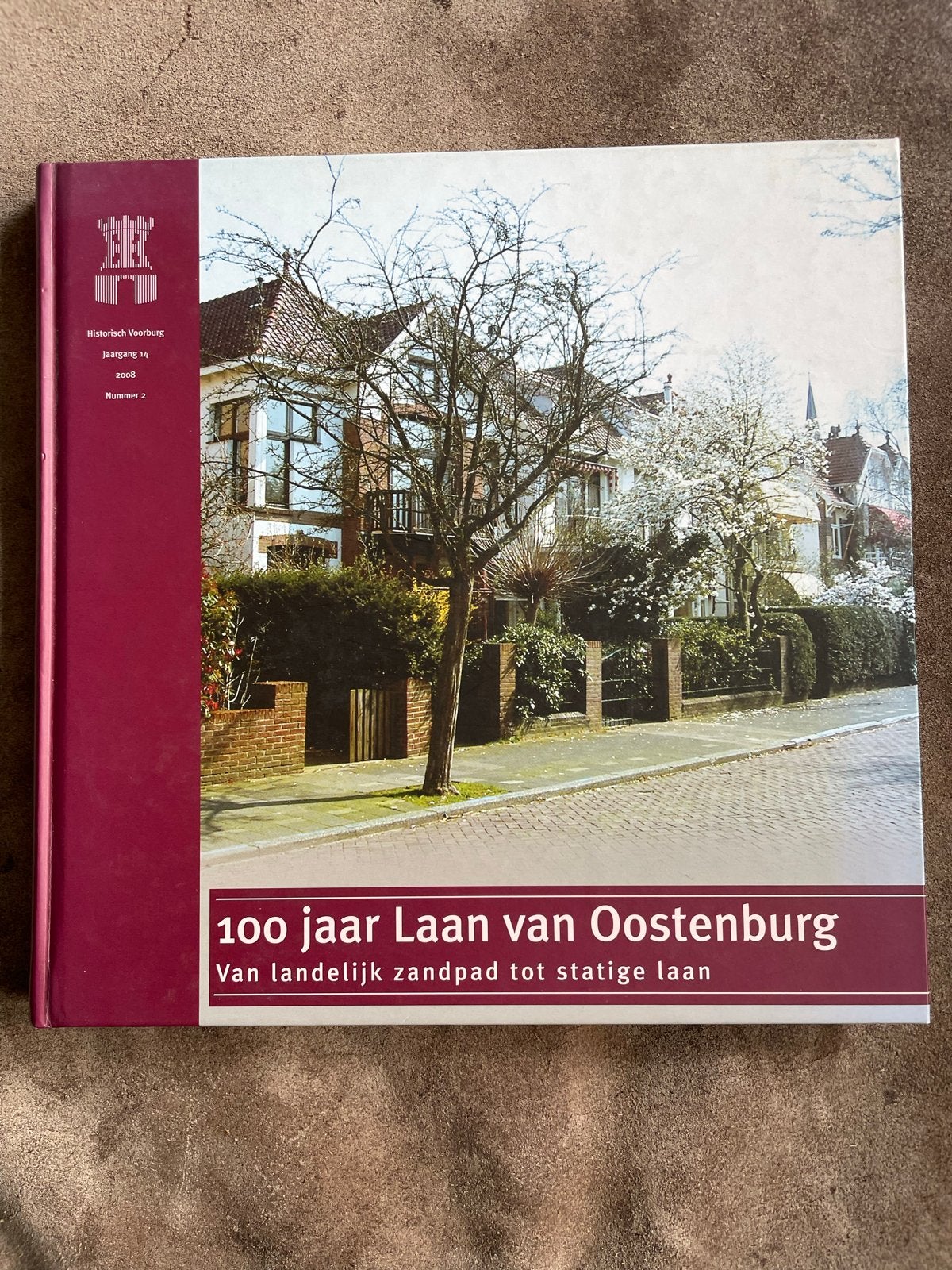 100 jaar Laan van Oostenburg - Historisch Voorburg, Boeken, Ophalen of Verzenden, 20e eeuw of later, Zo goed als nieuw