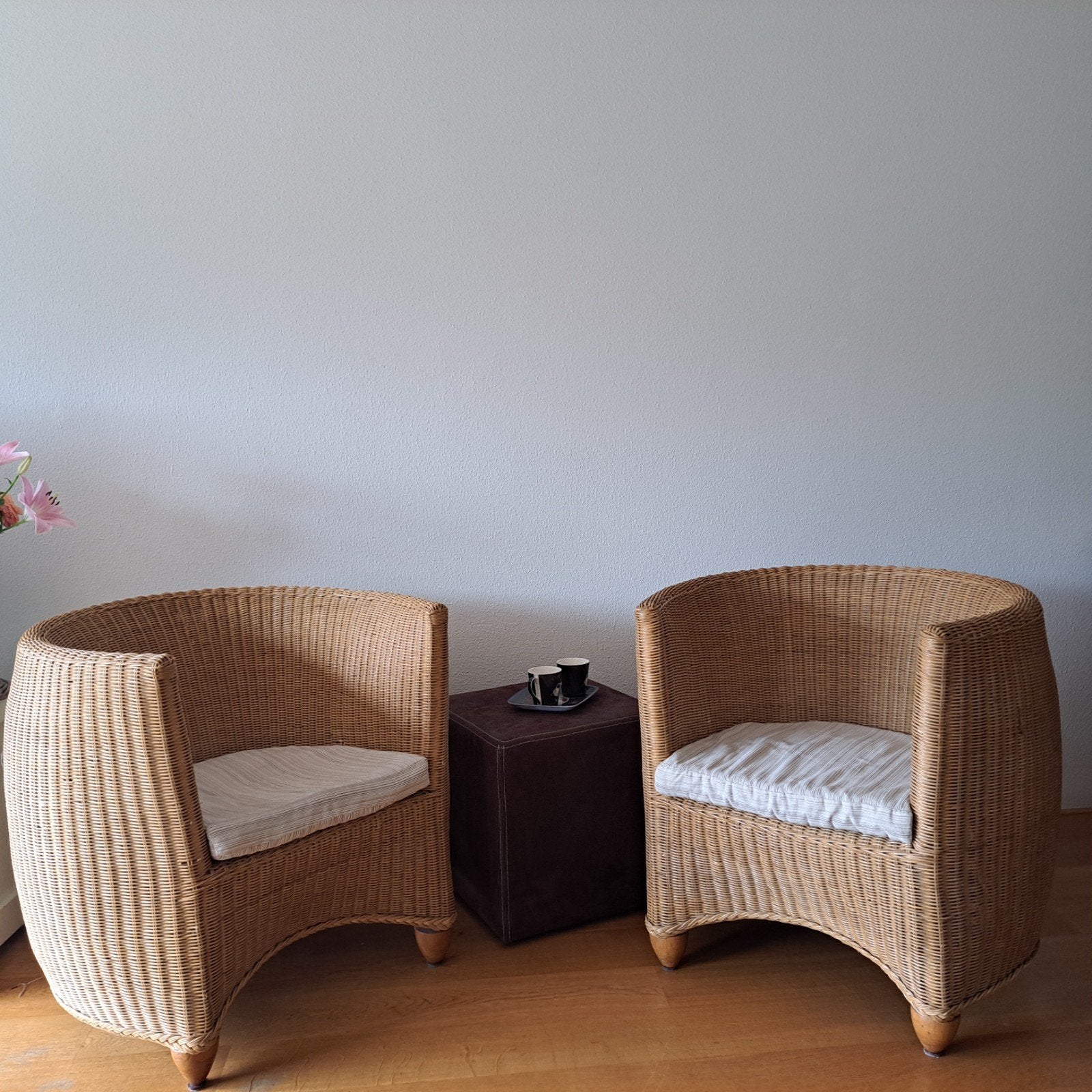 Twee rieten fauteuils met kussens, Ophalen, Gebruikt, Twee, Bruin