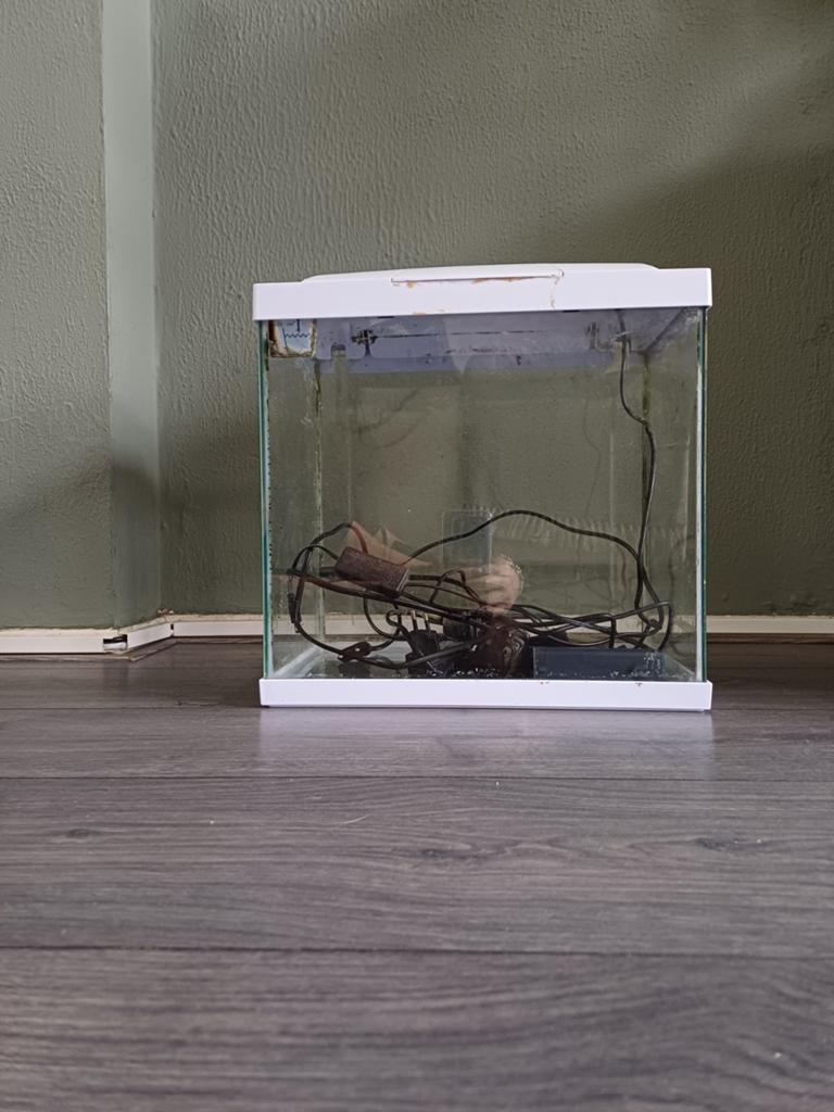 Aquarium superfish, Dieren en Toebehoren, Ophalen, Inclusief toebehoren, Gebruikt, Leeg aquarium