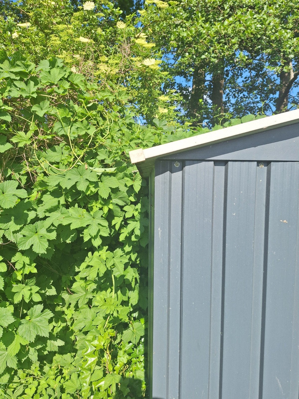Te koop, Tuin en Terras, Tuinhuizen, Ophalen, Gebruikt, Schuur, Zonder ramen