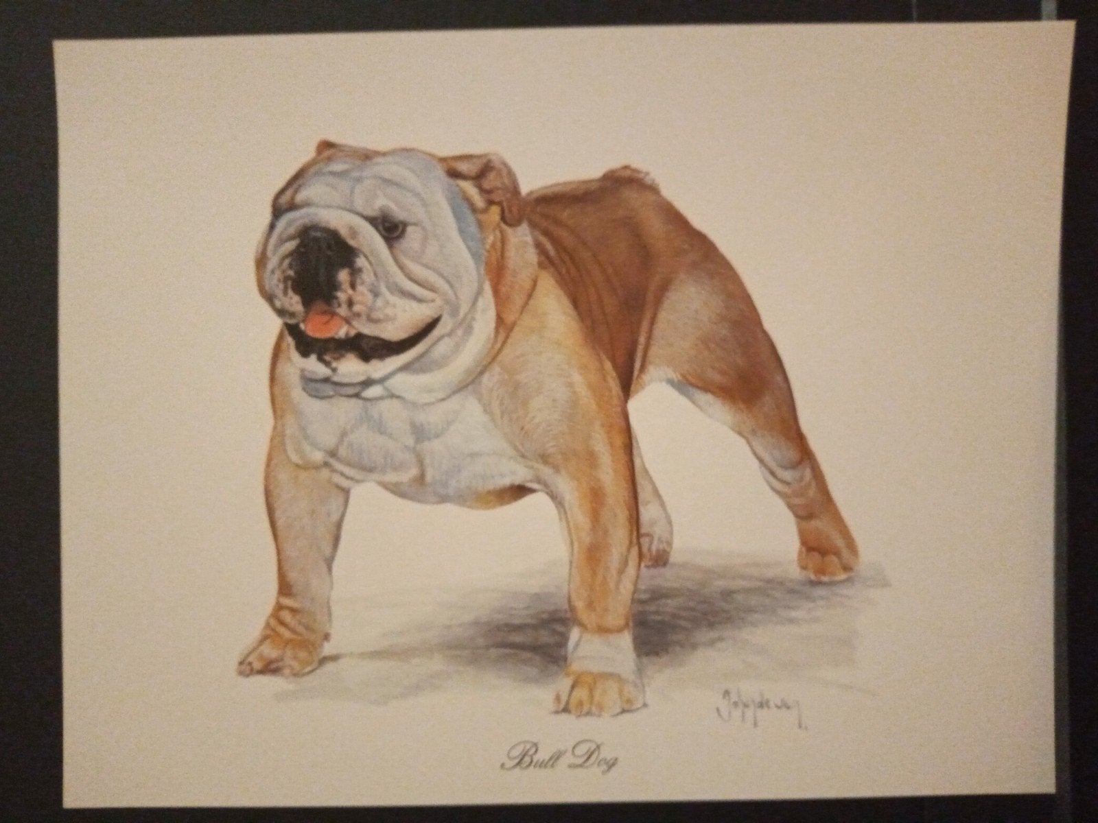 Bull Dog - kunstprent - Johan de Crem tekenaar, Verzenden, 1980 tot heden, Zo goed als nieuw, Dier