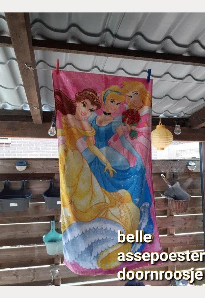 Strandlaken belle assepoester doornroosje, Ophalen of Verzenden, Zo goed als nieuw, Handdoek