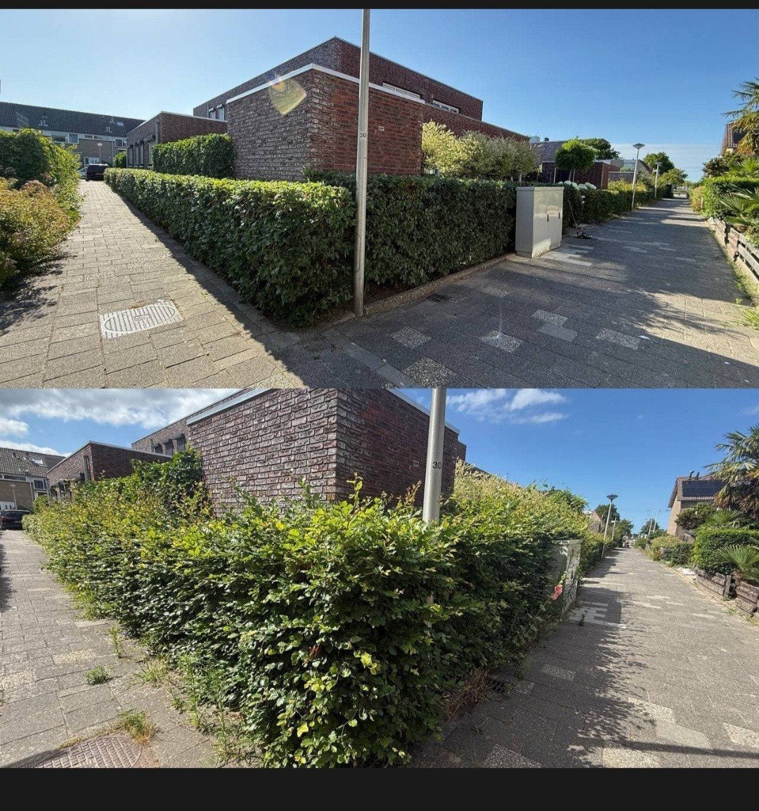 tuinman snoeien klusjesman