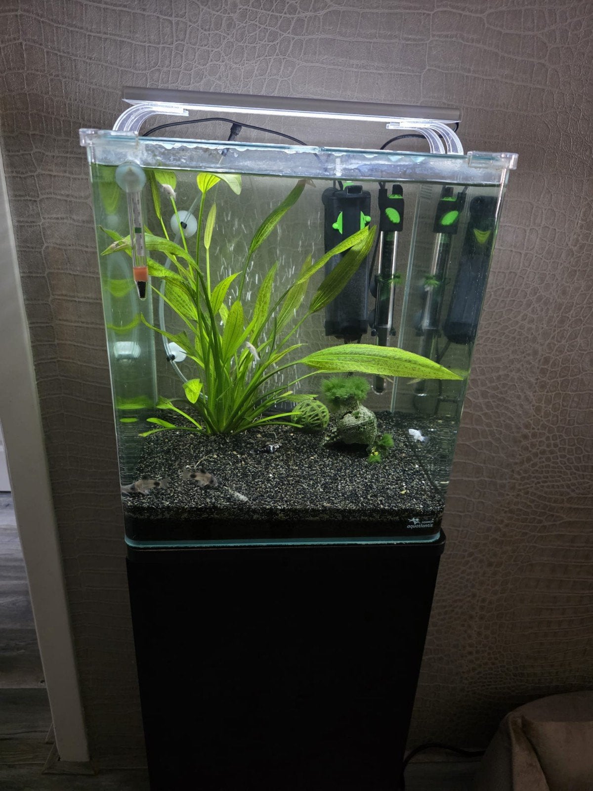 Kubus aquarium zo goed al nieuw met toe behoren, Dieren en Toebehoren, Vissen | Aquaria en Toebehoren, Ophalen, Zo goed als nieuw