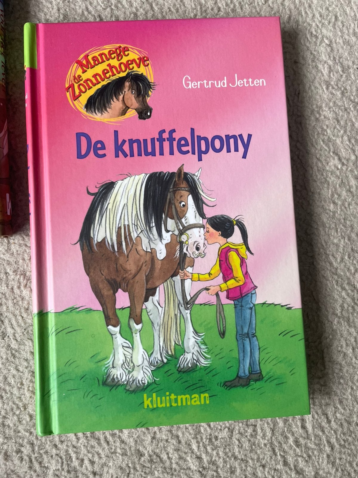 De knuffelpony manege de zonnehoeve boek, Ophalen, Zo goed als nieuw, Fictie