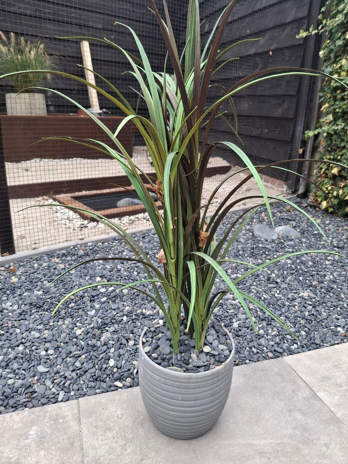 kunst siergras, Tuin en Terras, Planten | Tuinplanten, Ophalen of Verzenden, Siergrassen, Volle zon