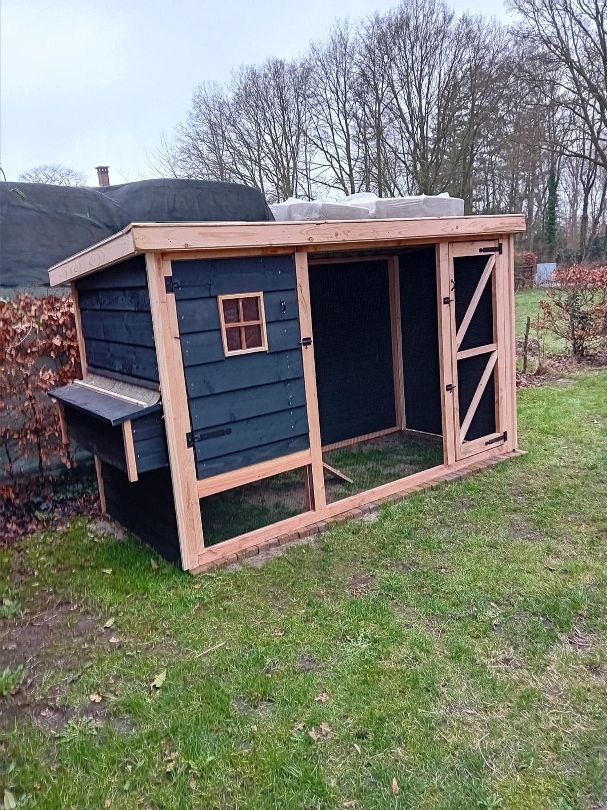 Hoog kippenhok Barnevelder, Douglas, nieuw, Dieren en Toebehoren, Ophalen of Verzenden, Nieuw, Kippenhok of Kippenren