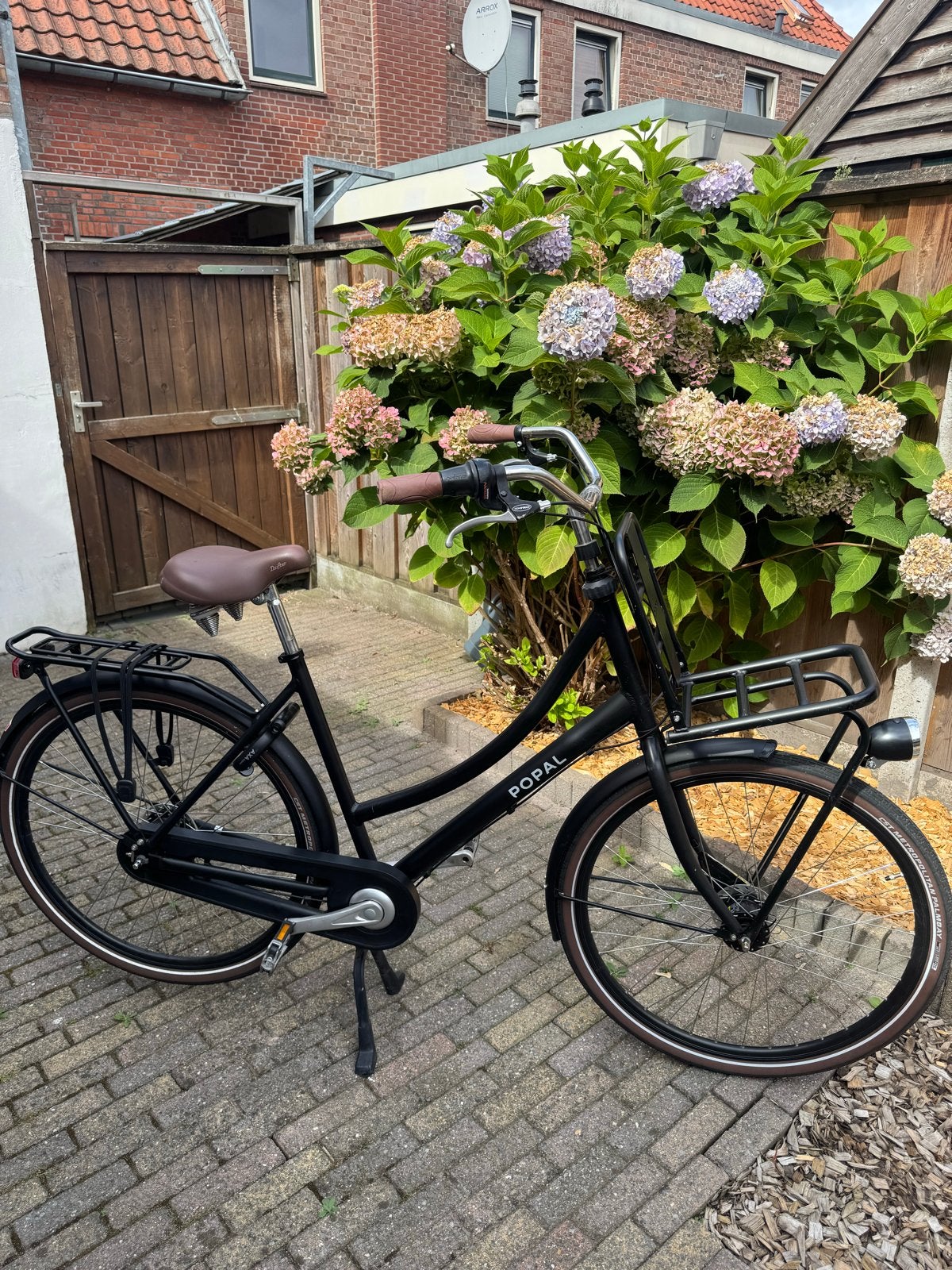 Popal Daily Dutch Prestige N7 2024, Fietsen en Brommers, Velgrem, 50 tot 53 cm, Ophalen, Overige merken