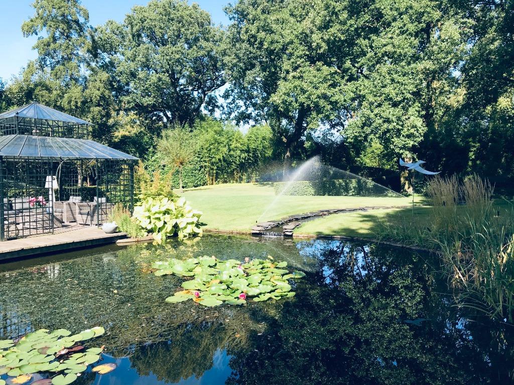 Tuinberegening, vijvers & fonteinen vijveraanleg zwemvijver