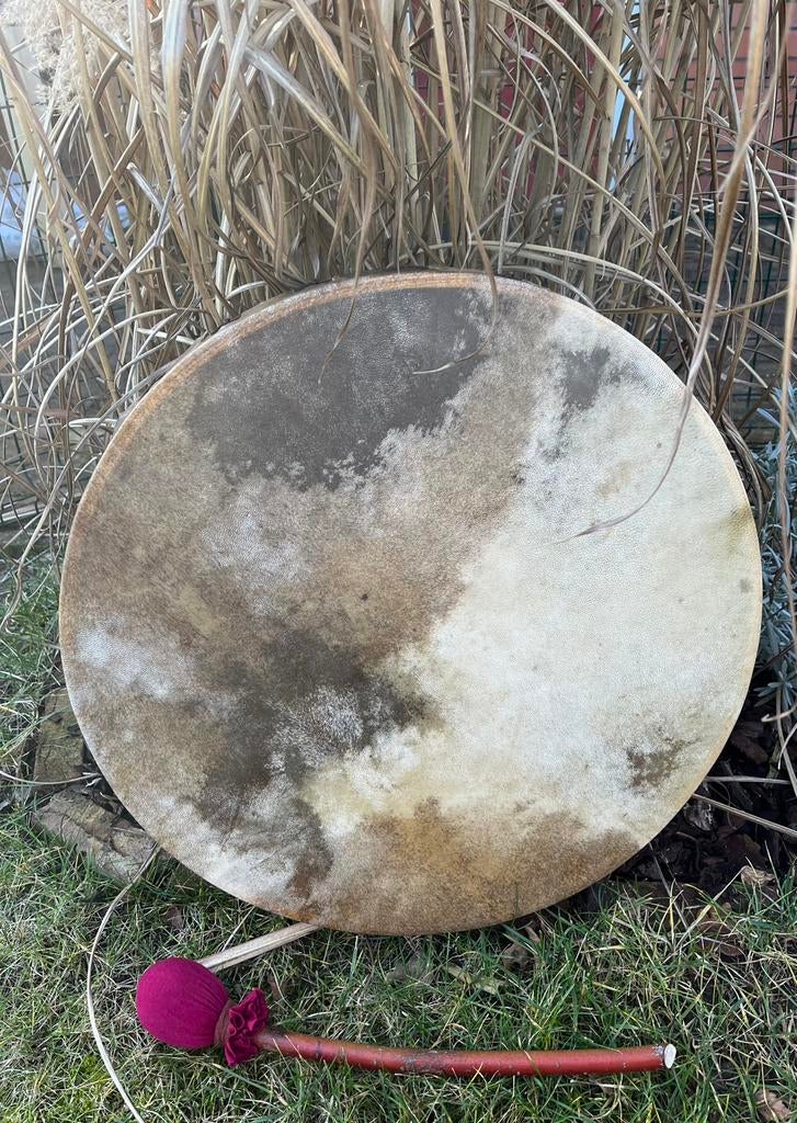 Sjamaan drum hert 50 cm. met drumstok., Muziek en Instrumenten, Percussie, Ophalen of Verzenden, Nieuw, Trommel