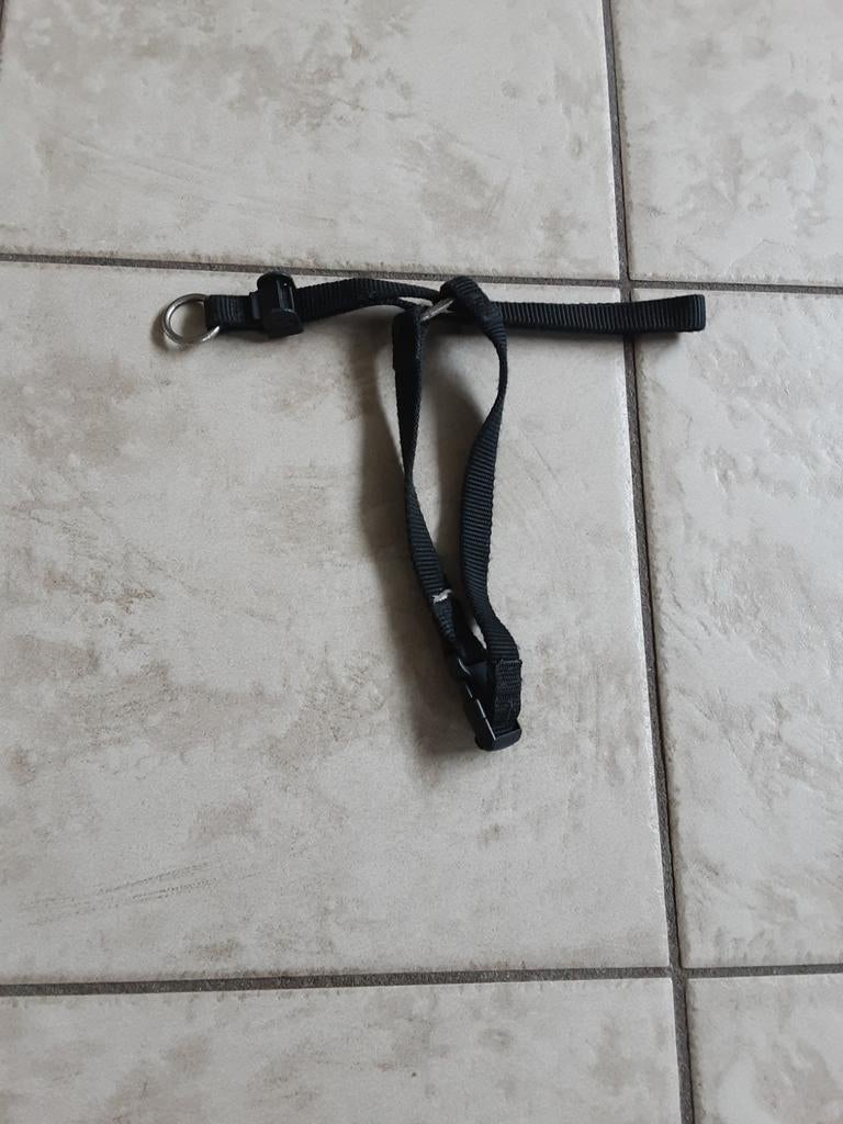 Halti anti trek kopriem, Ophalen of Verzenden, Gebruikt