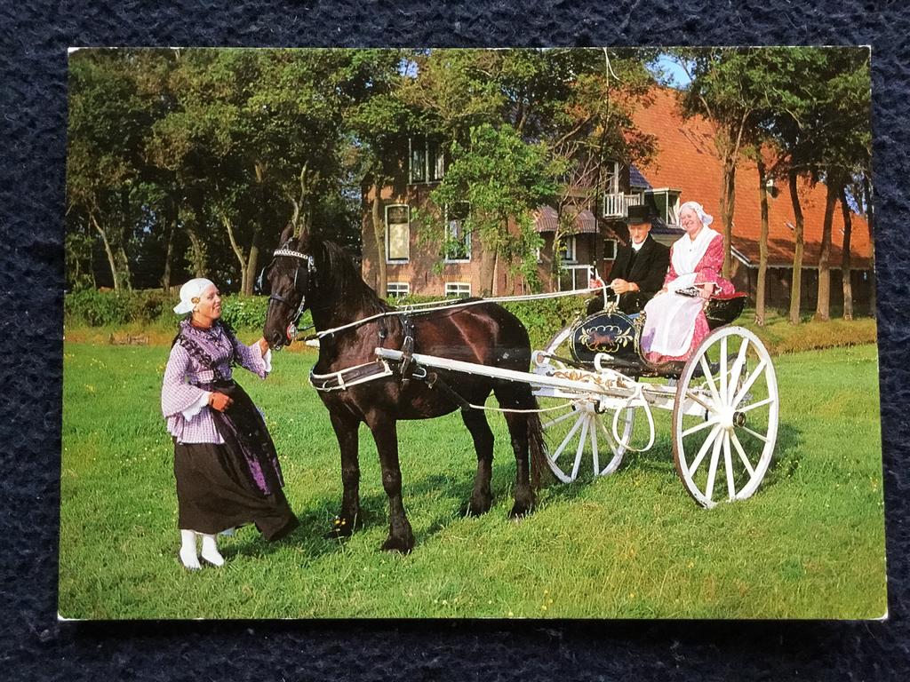 Ansichtkaart paar in Friese klederdracht met Paard en Sjees, Ophalen of Verzenden, 1960 tot 1980, Gelopen, Friesland