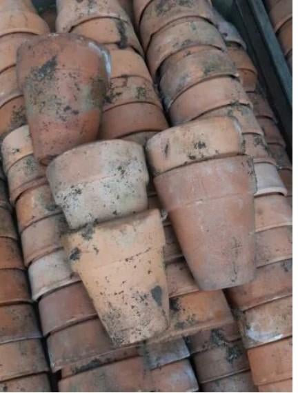 Oude antieke terracotta bloempotjes potjes, Gebruikt, T, Rond, Ophalen of Verzenden