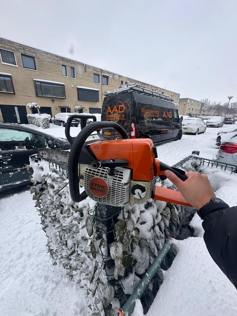 Stihl MS 230 Kettingzaag, Ophalen, Gebruikt, Boomzaag