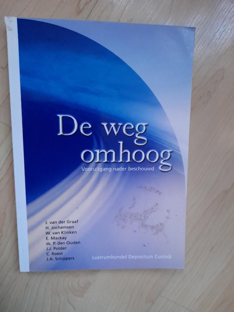 DE WEG OMHOOG VOORUITGANG NADER BESCHOUWD J van den Brink, Ophalen of Verzenden, Zo goed als nieuw