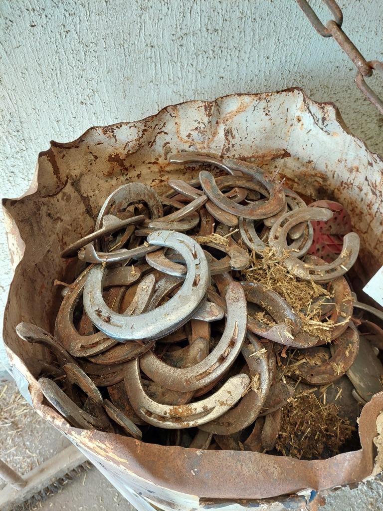 Foto 7 van Natuurlijk Bekapper paarden, Hoefschoenen, Barefoot Trimmer