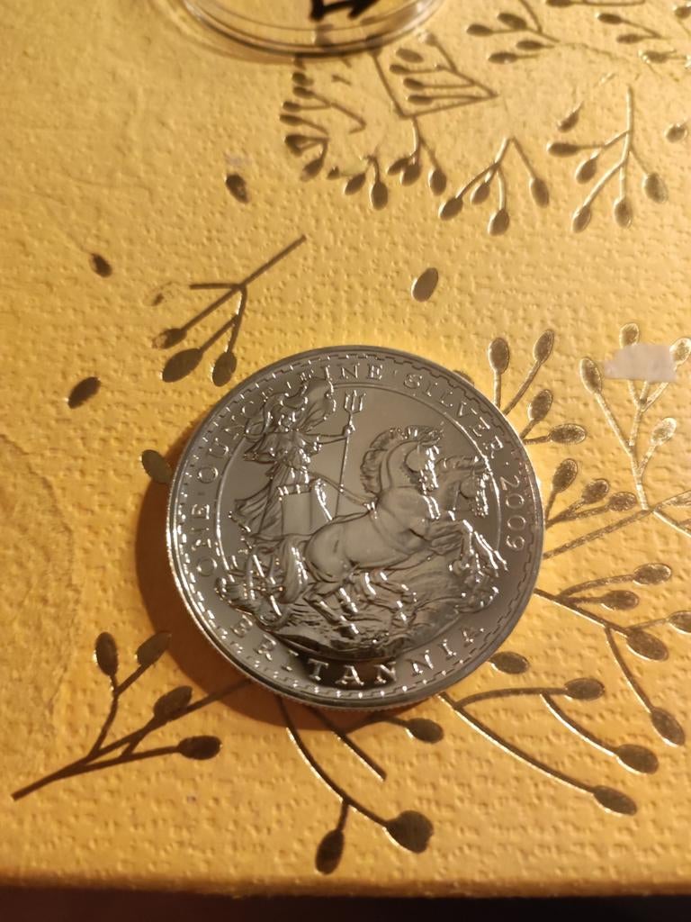 Zilveren Britannia 1 oz 2009, Ophalen of Verzenden, Overige landen, Losse munt, Zilver