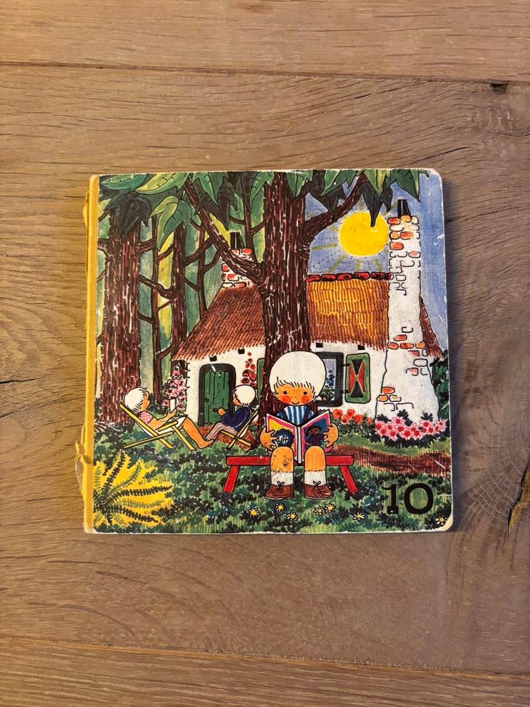 Botjes leesboek nr.10, Boeken, Ophalen of Verzenden, Gelezen