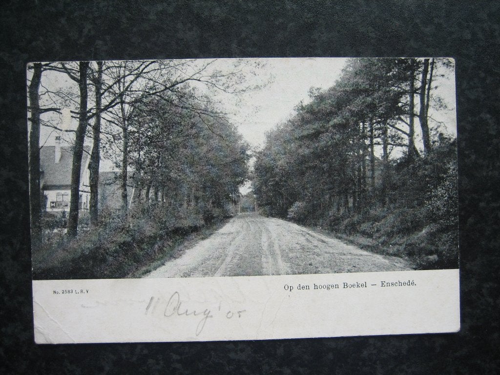 ENSCHEDE OP den hoogen Boekel 1905, Ophalen of Verzenden, Voor 1920, Overijssel