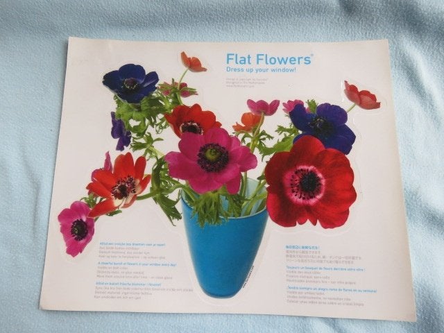 Flat Flowers raamsticker anemonen NIEUW, Overige typen, Onderhoudsvrij, Nieuw, Ophalen of Verzenden