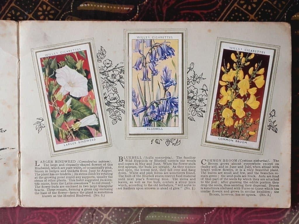 Wild flowers oud Engels album met sigarettenplaatjes., Ophalen of Verzenden