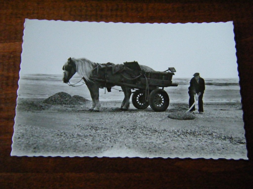 Z40 - Zandvoort ? - Schelpenvisser - Mooi/Oud, Ophalen of Verzenden, 1940 tot 1960, Noord-Holland