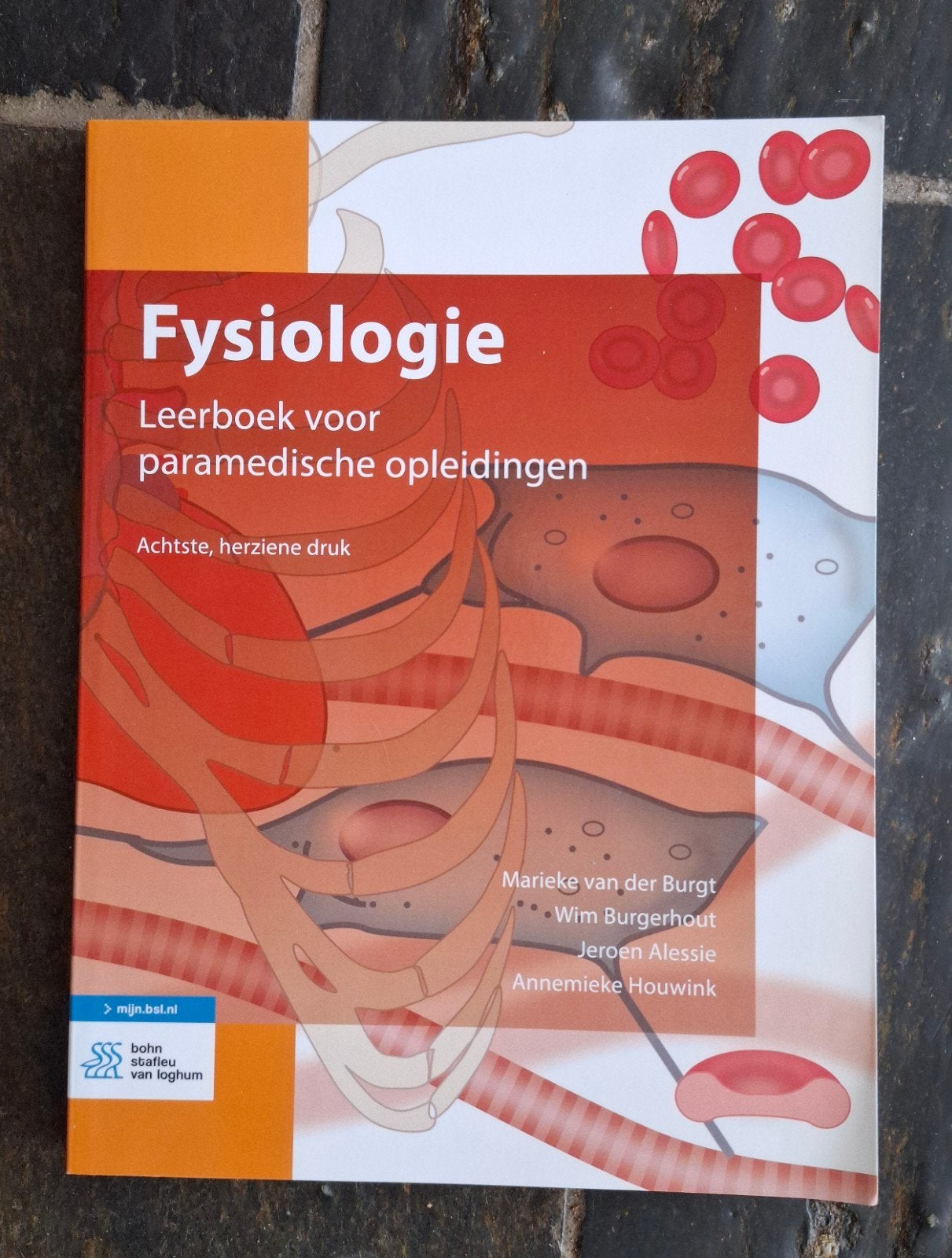 Fysiologie leerboek voor paramedische opleidingen, Ophalen, Sociale wetenschap, Zo goed als nieuw, Jeroen Alessie; Marieke van der Burgt; Wim Burgerhout; Annemi...
