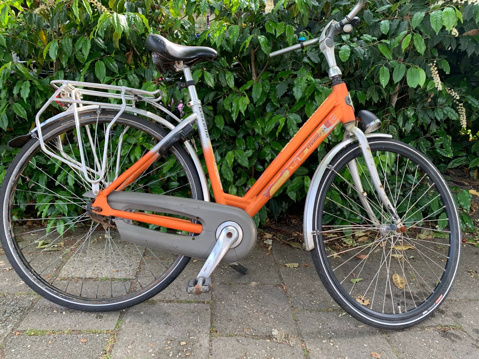 Damesfiets Gazelle Chamonix - Ideaal voor station, Ophalen, Terugtraprem, Gazelle, 53 tot 56 cm