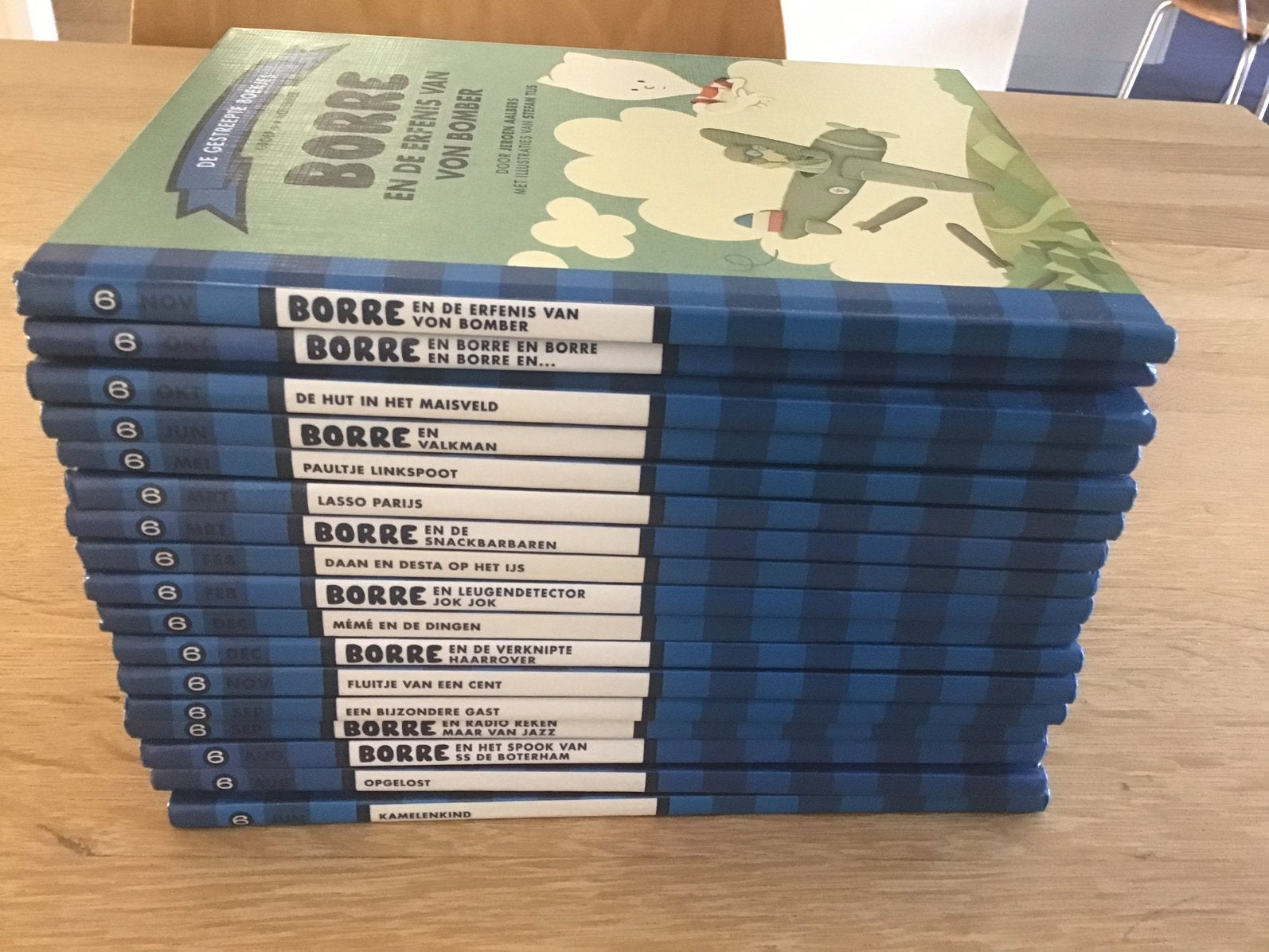 17 Borre boekjes groep 6, Ophalen of Verzenden, Zo goed als nieuw