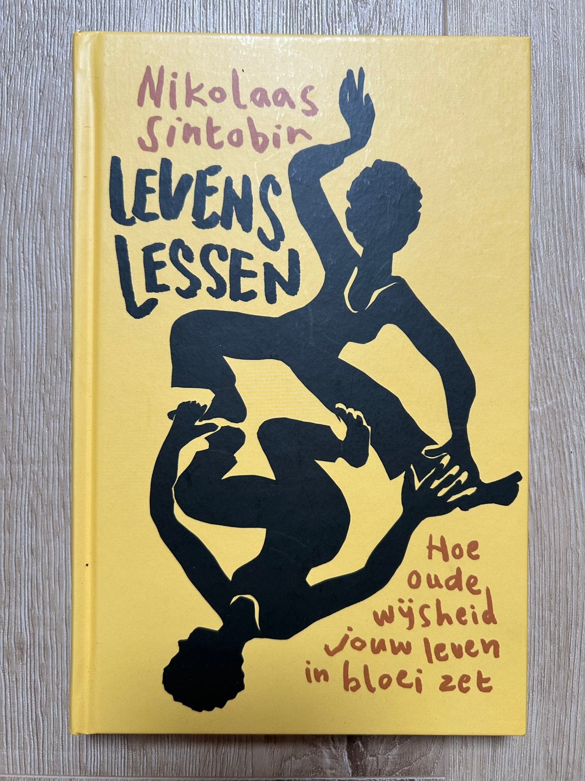Levenslessen van Nikolaas Sintobin, Ophalen of Verzenden, Nieuw