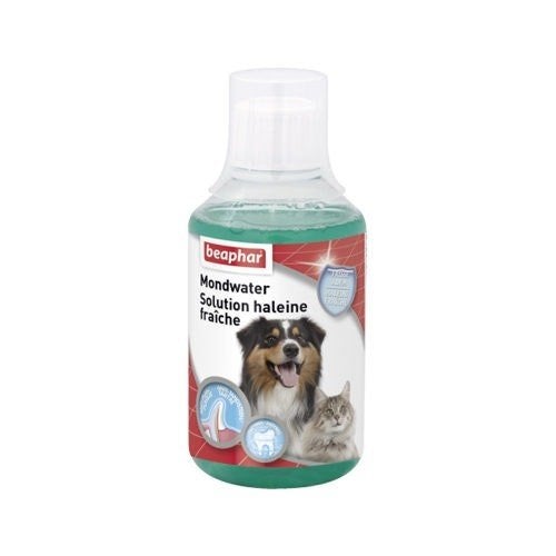 Beaphar Mondwater

Voor honden en katten, ., Nieuw, Ophalen of Verzenden, .