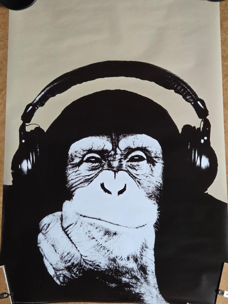 Poster: Steez Monkey / Aap met koptelefoon - 91x61cm, Deurposter of groter, Ophalen of Verzenden, Dier of Natuur, Rechthoekig Staand
