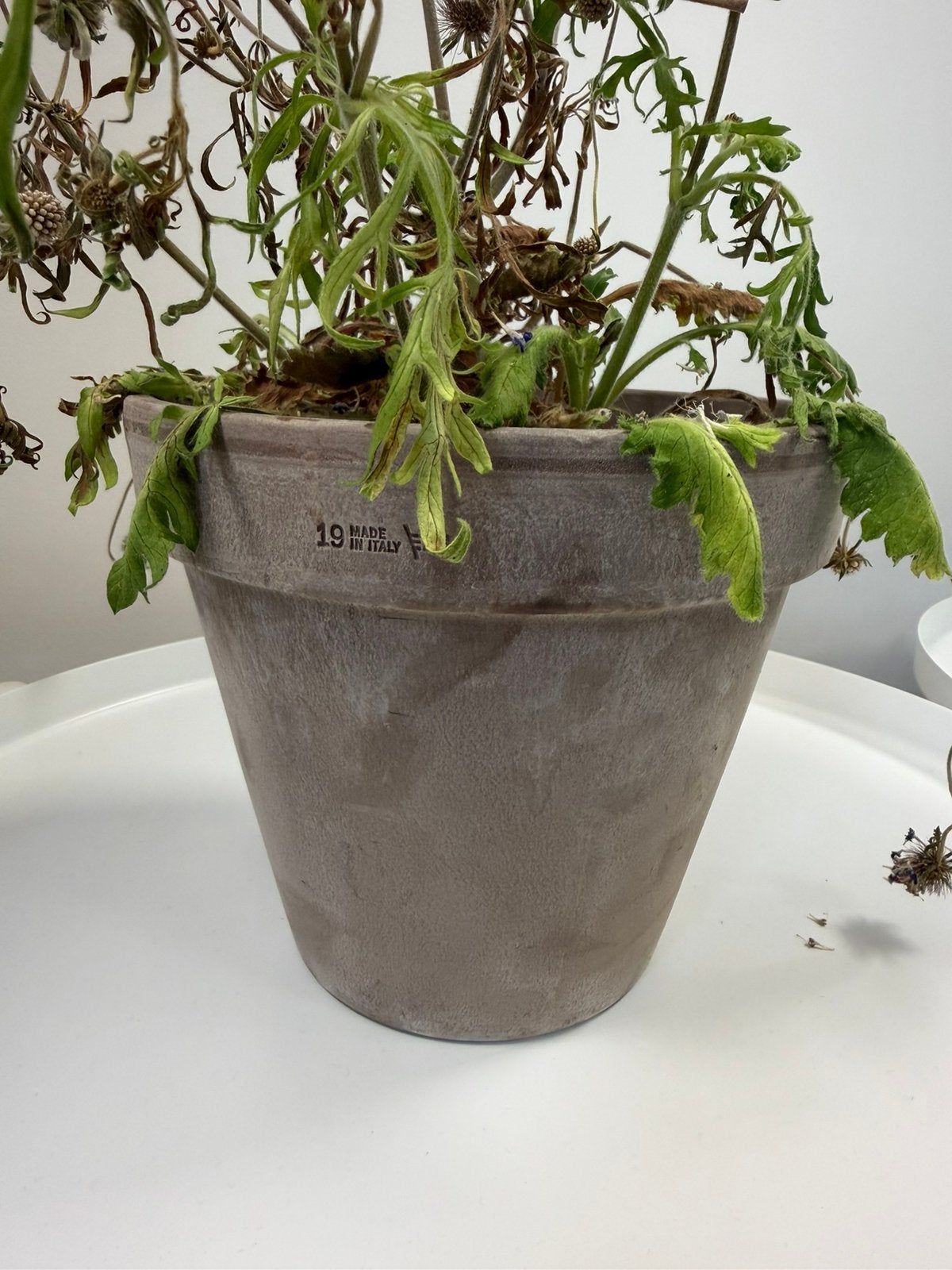6 mooie bloempotten - 17cm hoog, Ophalen, Kunststof, Rond, Zo goed als nieuw